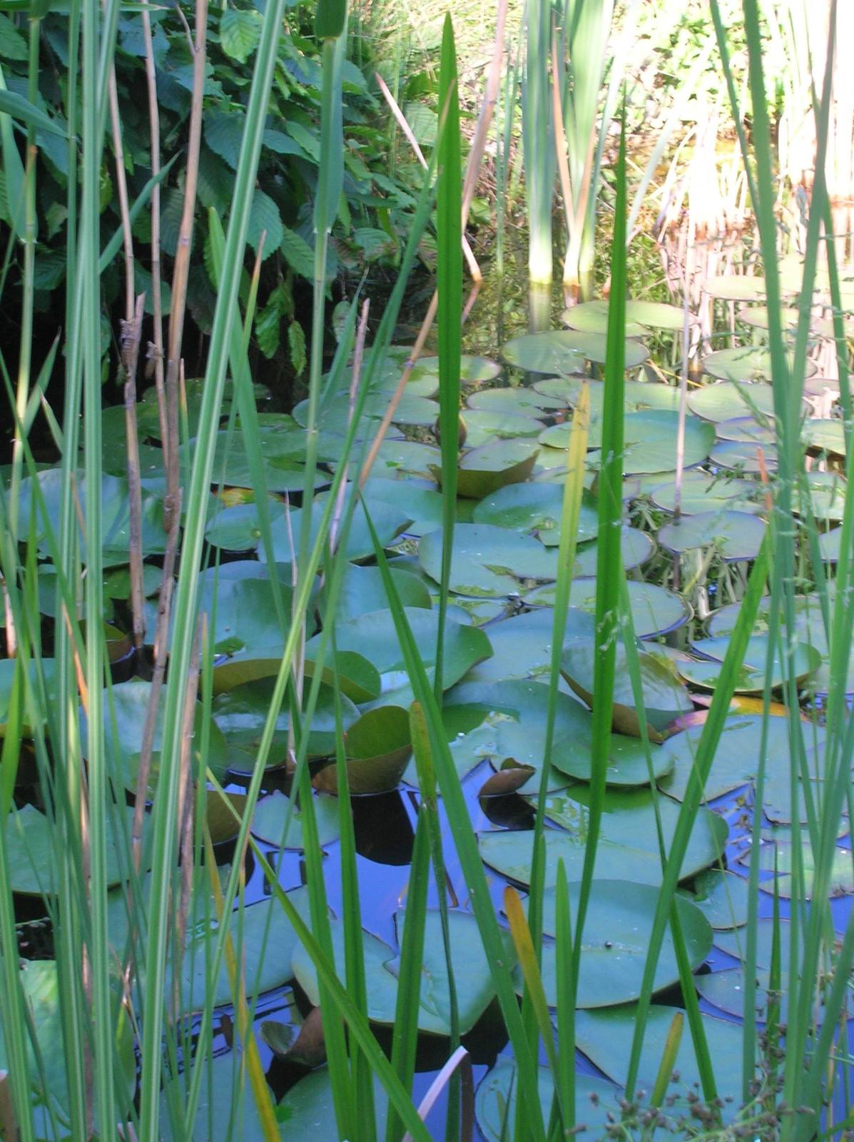 Garten 5 – Tonfiguren
